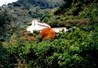 Agriturismo Casale Antico Casale Di Lisycon